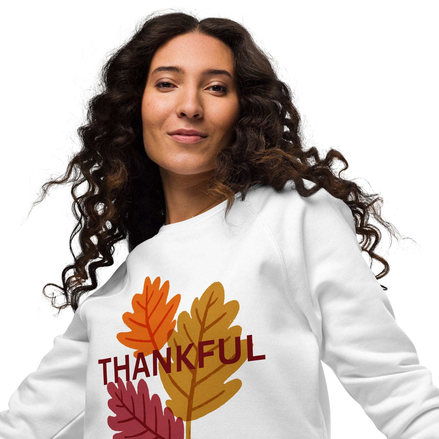 Thanksgiving Holiday Sweatshirt Unisex organic raglan