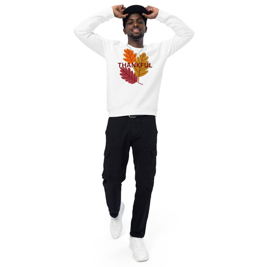 Thanksgiving Holiday Sweatshirt Unisex organic raglan