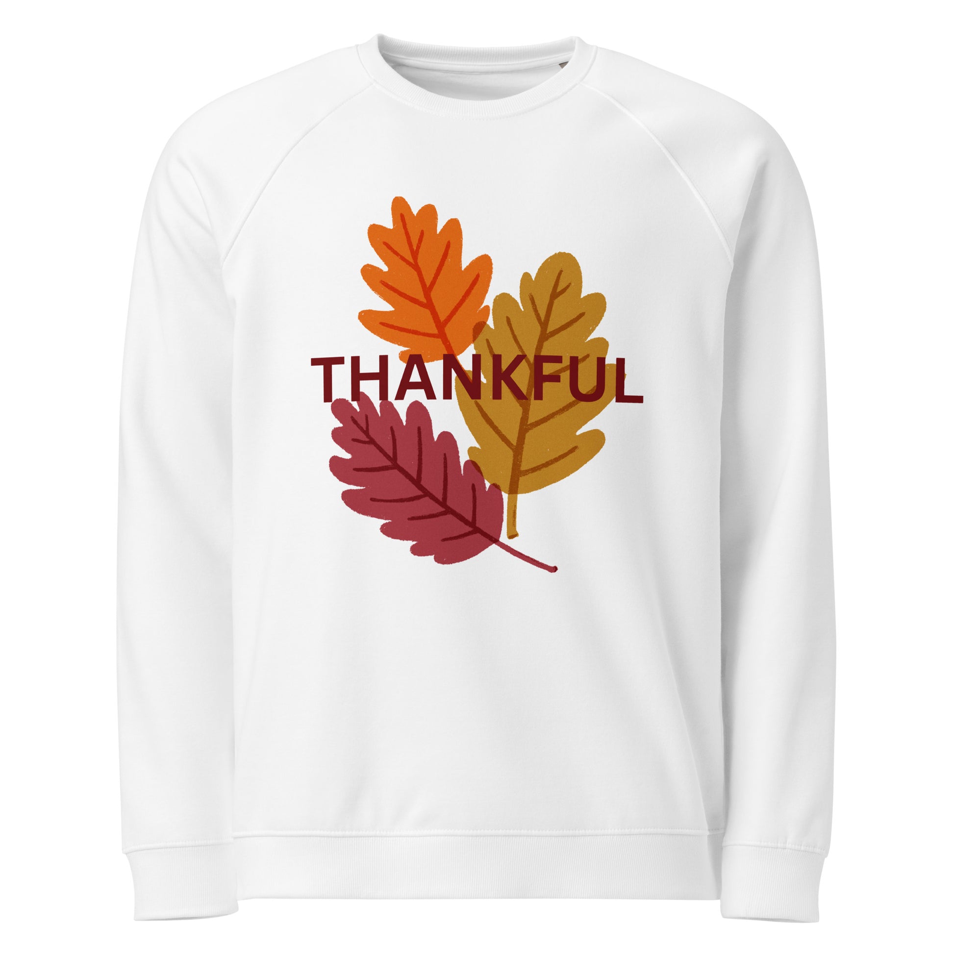 Thanksgiving Holiday Sweatshirt Unisex organic raglan