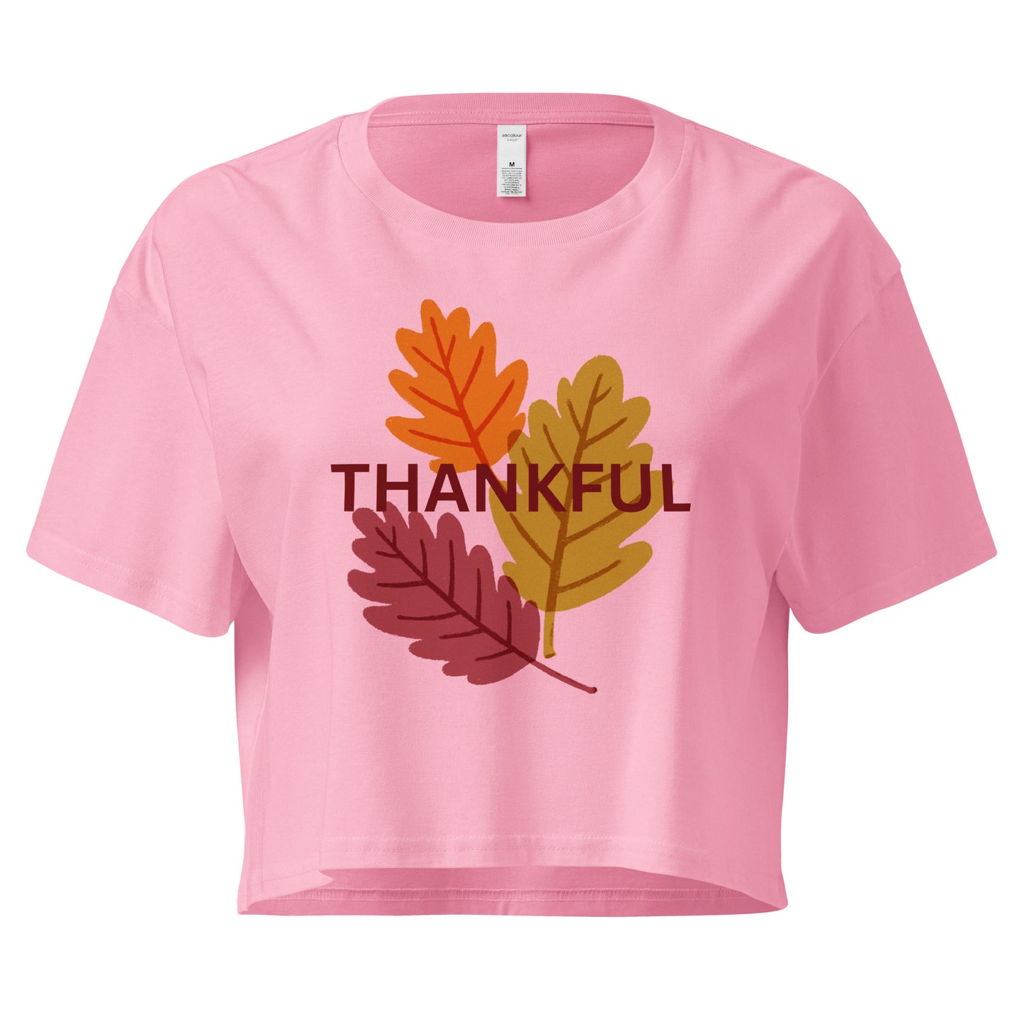 Thanksgiving Holiday Women’s Crop Top Shirt
