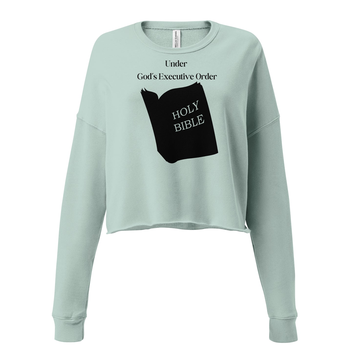 Inspirational Crop Top Sweater