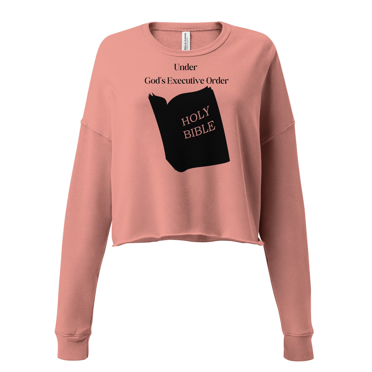 Inspirational Crop Top Sweater